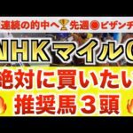 【NHKマイルカップ2025 予想】マジックサンズ過去最高のデキ?プロが"全頭診断"から導く絶好の3頭!