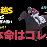 【土曜競馬予想穴馬まとめ】オッズがウマい単複勝負馬!特別・最終レース勝負穴馬リスト【上越S/高山S2025】
