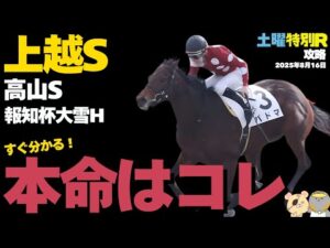 【土曜競馬予想穴馬まとめ】オッズがウマい単複勝負馬！特別・最終レース勝負穴馬リスト【上越S/高山S2025】