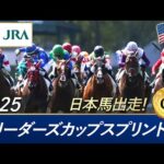 2025年 ブリーダーズカップスプリント（G1） |  JRA公式