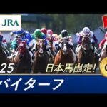 2025年 ドバイターフ(G1) | 第29回 | JRA公式