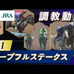 【調教動画】2025年 ホープフルステークス｜JRA公式