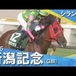 2025年 新潟記念(ＧⅢ)  シランケド【カンテレ公式】