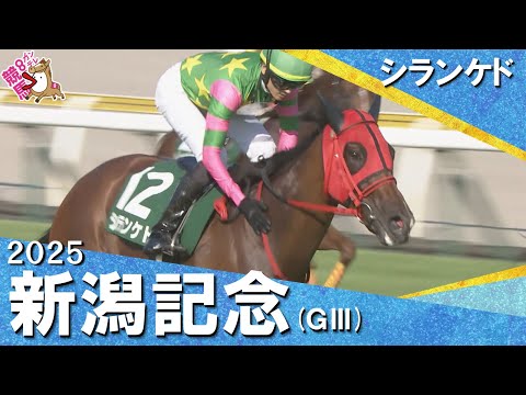 2025年 新潟記念(GⅢ) シランケド【カンテレ公式】