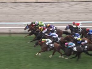 【札幌競馬】UHB賞は0.1秒に9頭がひしめく接戦！ “ハナ・ハナ・ハナ・アタマ・アタマ・ハナ・ハナ・クビ・クビ・クビ・クビ差”を制したのはフィオライア