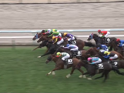 【札幌競馬】UHB賞は0.1秒に9頭がひしめく接戦! “ハナ・ハナ・ハナ・アタマ・アタマ・ハナ・ハナ・クビ・クビ・クビ・クビ差”を制したのはフィオライア