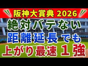 阪神大賞典2026 競馬YouTuber達が選んだ【確信軸】ロンスパ適性のある人気馬＋穴馬の馬連勝負！
