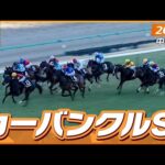 【レース映像】中山11R カーバンクルS|エイシンフェンサー(川又賢治)|ウイニング競馬