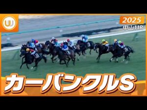 【レース映像】中山11R カーバンクルS｜エイシンフェンサー（川又賢治）｜ウイニング競馬