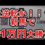 【競馬に人生】狂気の三日間開催!新馬戦11万円大勝負!編