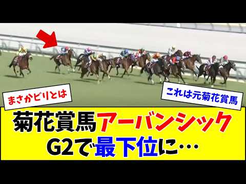 【金鯱賞】G1馬アーバンシックさん、ひっそりと最下位が地味にやばい