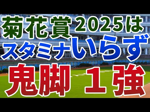 菊花賞2025【絶対軸1頭】公開!長丁場なのにスタミナよりスピード?エリキングとエネルジコが淀で激突!