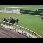【競馬】何度も観たくなるヤバいレース【逸走】