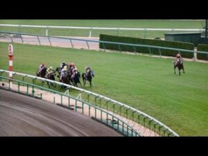 【競馬】何度も観たくなるヤバいレース【逸走】