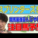 【競馬】スプリンターズSでのじゃいの予想【勝ち馬予想】