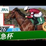 2026年 阪急杯（GⅢ） | ソンシ | JRA公式