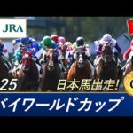2025年 ドバイワールドカップ(G1) | 第29回 | JRA公式