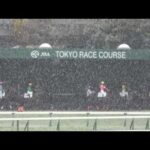 【積雪】で8Rから中止 横山典弘の3000勝は明日へ持ち越し 現地映像 東京競馬場