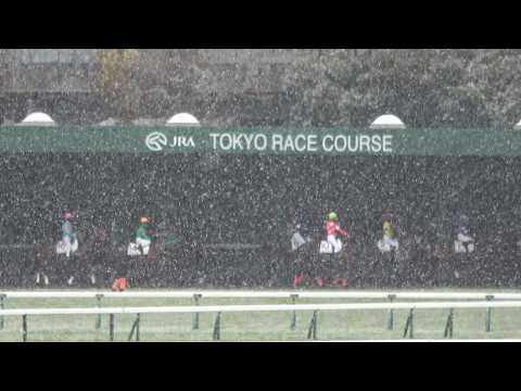 【積雪】で8Rから中止 横山典弘の3000勝は明日へ持ち越し 現地映像 東京競馬場