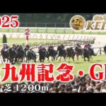 【北九州記念・GⅢ】北九州記念 小倉 芝 1200m 2025 レース  【みんなのKEIBA】