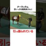 やる気がなさすぎるぅ!馬たち