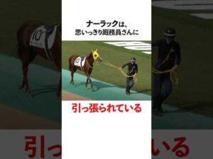 やる気がなさすぎるぅ！馬たち