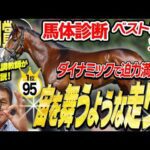 【皐月賞2026】1位と2位の「0.5点」の差とは！？中村均元調教師が馬体診断ベスト５を発表 ！《東スポ競馬》