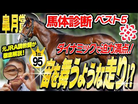 【皐月賞2026】1位と2位の「0.5点」の差とは!?中村均元調教師が馬体診断ベスト5を発表 !《東スポ競馬》