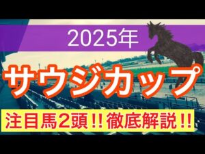 【サウジカップ2025】蓮の海外競馬予想