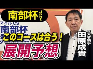 【マイルCS南部杯2025】田原成貴が展開予想　このコンビが勝つ！《東スポ競馬》