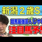 【競馬】新潟2歳Sでのじゃいの予想【勝ち馬予想】