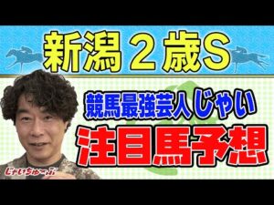 【競馬】新潟2歳Sでのじゃいの予想【勝ち馬予想】