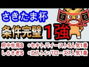 【競馬予想】さきたま杯2026　ウィルソンテソーロを倒すならこの馬1択！！　地方予想の神が浦和の攻略法を教えます！