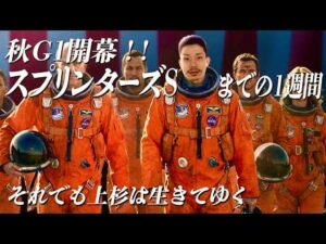 【日常】大勝負のG1スプリンターズSまでの一週間日記。