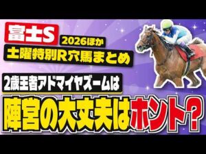 【先行一撃穴馬!】富士ステークス、トルマリンS他、土曜競馬特別・最終レースの激走候補リスト【2026年10月17日競馬予想】