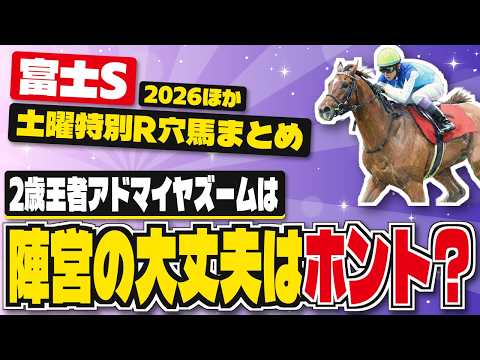 【先行一撃穴馬!】富士ステークス、トルマリンS他、土曜競馬特別・最終レースの激走候補リスト【2026年10月17日競馬予想】