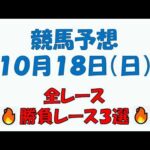 【競馬予想】１０月１８日（日）全レース予想／厳選３レース(平場予想・重賞予想)