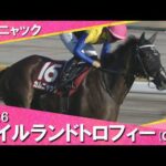 2026年アイルランドトロフィー(ＧⅡ) カムニャック【カンテレ公式】