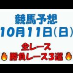 【競馬予想】１０月１１日（日）全レース予想／厳選３レース(平場予想・重賞予想)