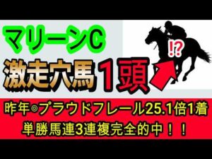 【競馬予想】マリーンカップ2026　今年も激走する地方馬がいる！？　昨年完全的中男が地方重賞の攻略法を教えます！