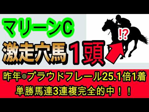 【競馬予想】マリーンカップ2026　今年も激走する地方馬がいる！？　昨年完全的中男が地方重賞の攻略法を教えます！