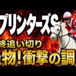 【スプリンターズステークス2026競馬予想】最終追い切り評価｜軍師AI｜有力馬スターアニス、パンジャタワーの上位陣は？状態が届いてない馬も明確！最終段階での序列は見えてきた最終結論、買う馬と危険馬？
