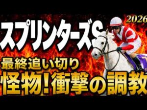 【スプリンターズステークス2026競馬予想】最終追い切り評価|軍師AI|有力馬スターアニス、パンジャタワーの上位陣は?状態が届いてない馬も明確!最終段階での序列は見えてきた最終結論、買う馬と危険馬?