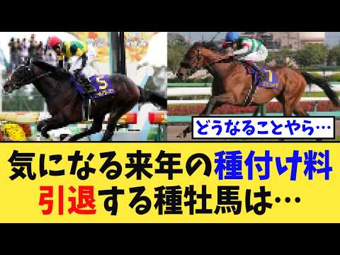 【議論】来年の種付け料と種牡馬の引退、競馬民の予想がまさかの…【競馬反応集】